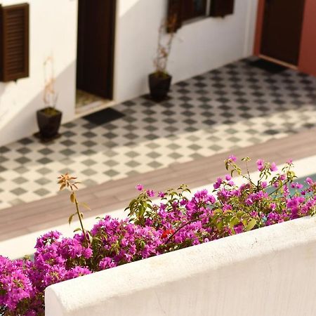 Fisherman'S Albufeira Cosy Studio Dış mekan fotoğraf